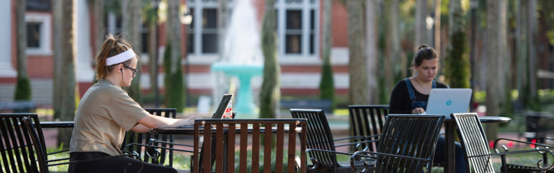 Student studying in Palm Court